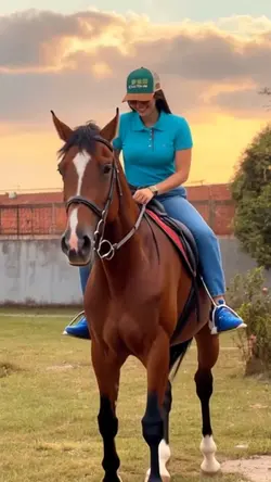 Trend do Cavalo