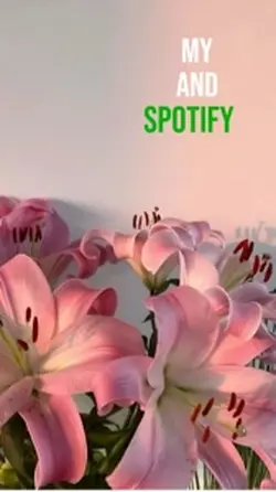 Spotify 