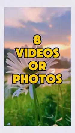 Aesthetic Flowers