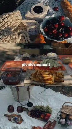 picnic moment