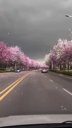 Mini Vlog