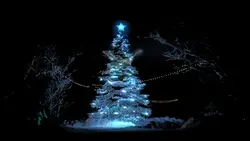 Christmas miracle