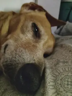 :3