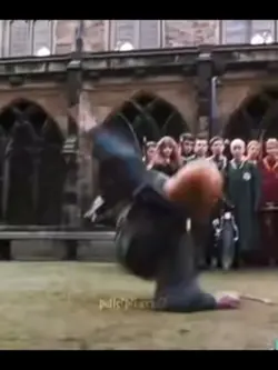 HP hard knock life