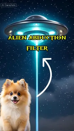 alien abduction