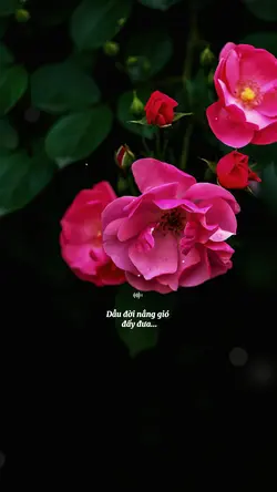 Tháng 3 Gạo nở bến