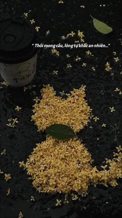 Caption - màu