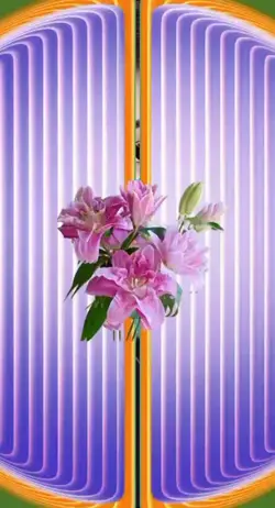 Ganti photomu