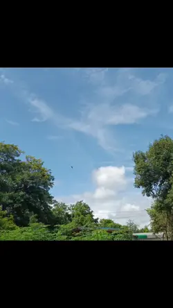 เธรด