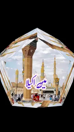  اکیلا مسائل بیشمار 