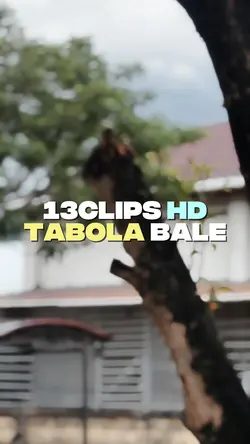 Tabola Bale 13C