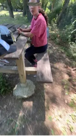 Dinosaureeeee 🦖