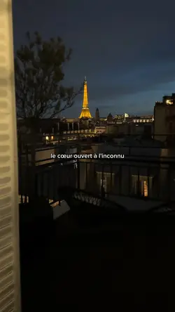 Les champs élysée 🇫🇷