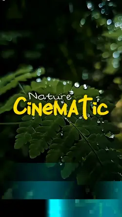 Cinematic 5 video