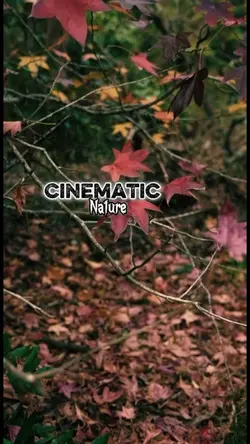 Cinematic 5 Clips