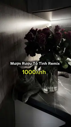 Mượn Rượu Tỏ Tình