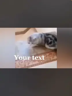 lol 