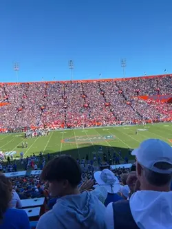 fl gators football