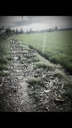 Mẫu dừng hình 