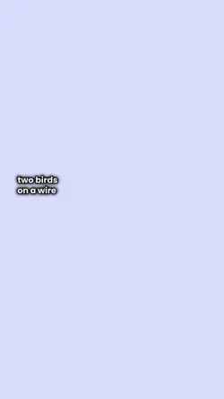 Two birds on a wire