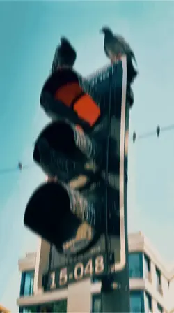 CINEMATIC 