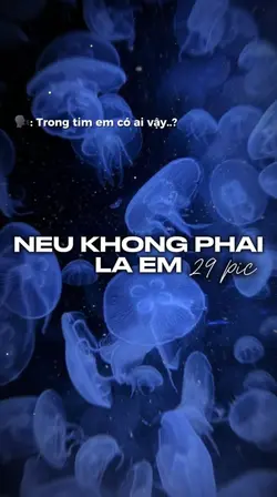 [29] ảnh