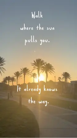 Follow the sunshine 