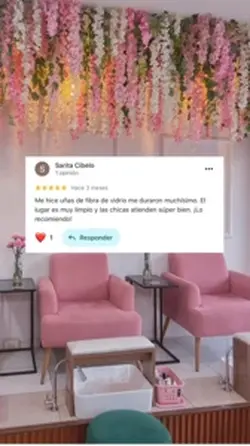 Reviews