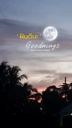 goodnight
