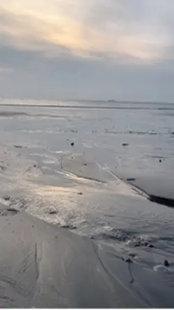 Le bruit des vagues 