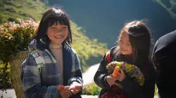 Slow mượt + màu