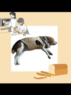 おもしろいおマヌケ動画です(笑)