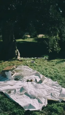 Picnic stories