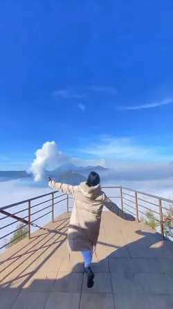 2 videos