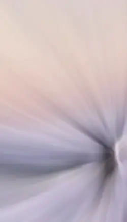 3 ảnh 