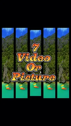 7 video or picture 