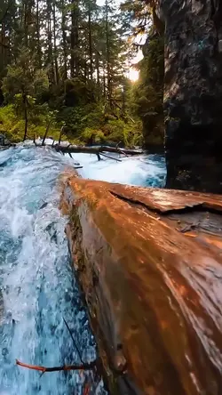 Adventure