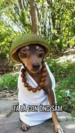 Ta là con ông sấm