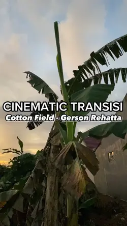 Cinematic Country
