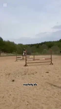 za dużo zgłoszeń 