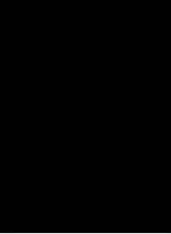  Frühervsheute