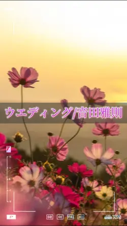 記念日などに使ってください!