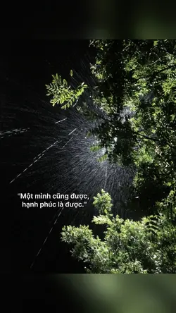 1Ảnh 