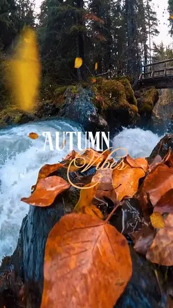Autumn vibes