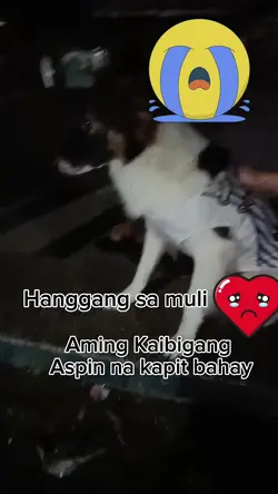 hanggang sa muli