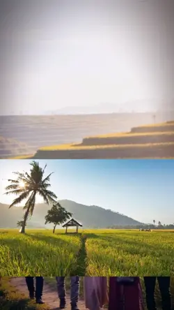 PESAWAHAN SEKITAR