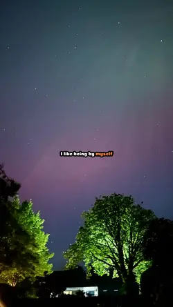 the ambivert song