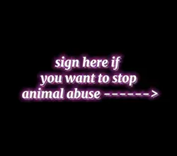 animal abuse