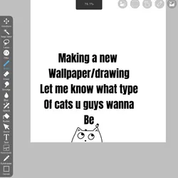 Cats!