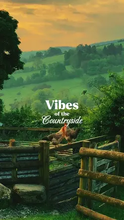 Vibes Of The Country